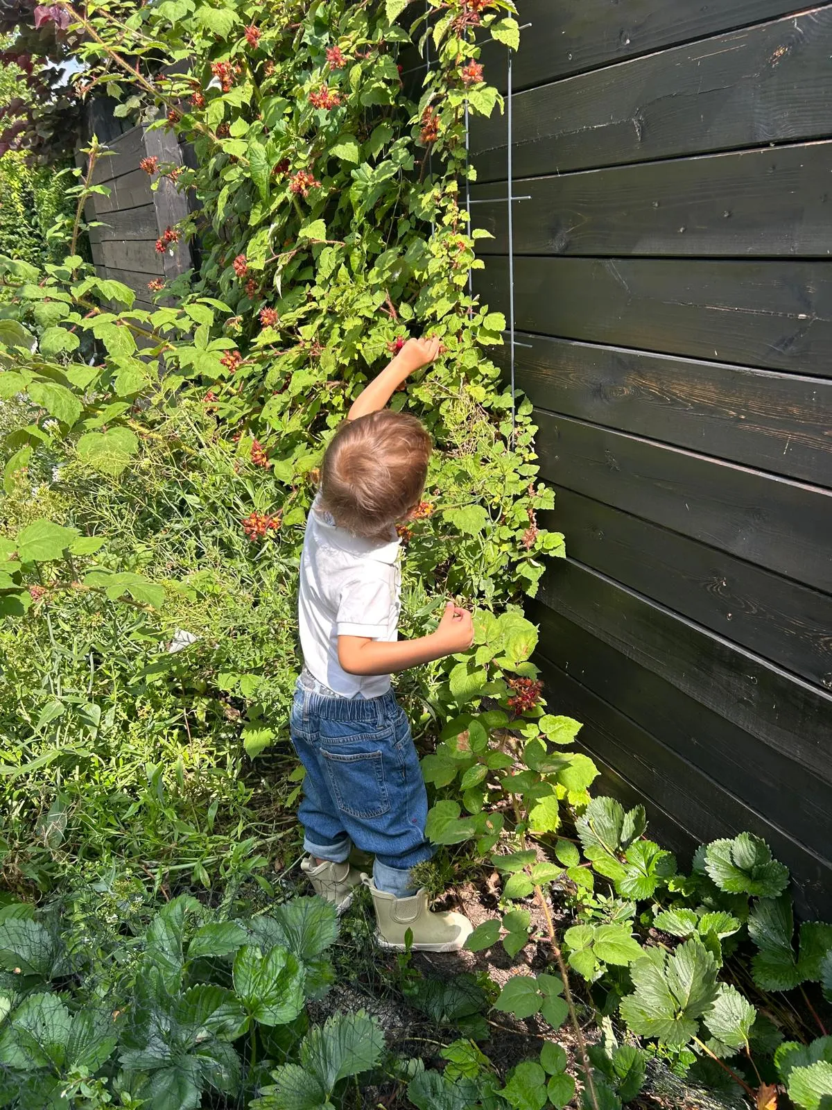 Eetbare siertuin in Amsterdam