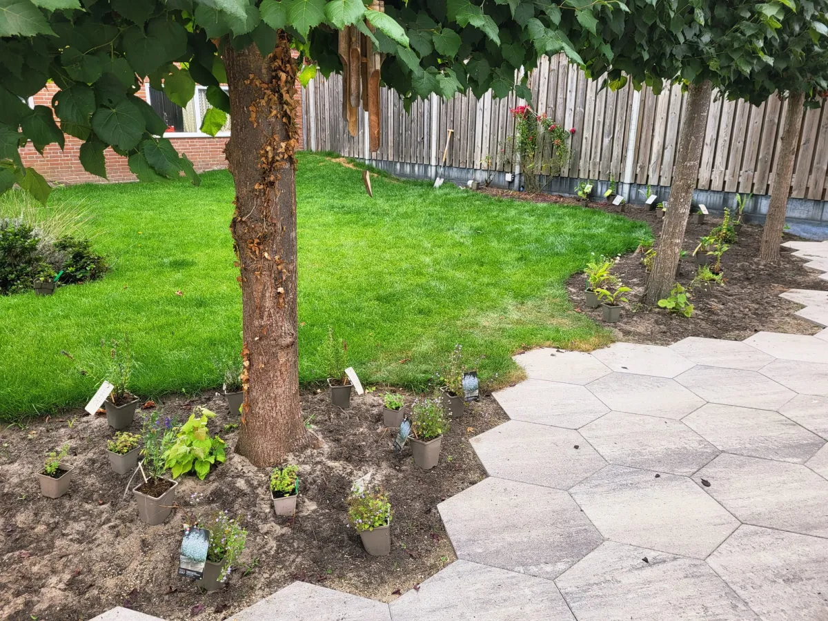 Gezonde planten voor een bosboerderij in Drunen
