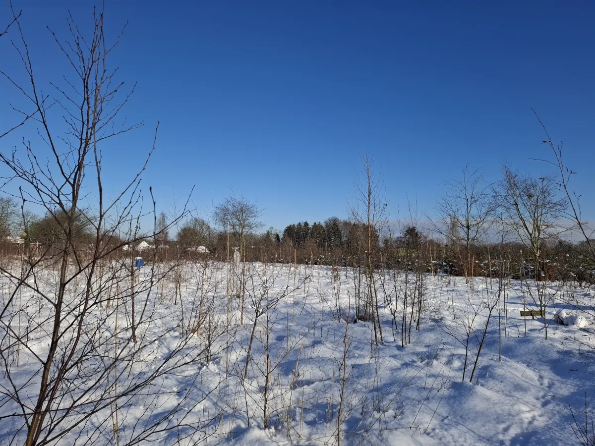 Voedselbos Klein Groenrijk