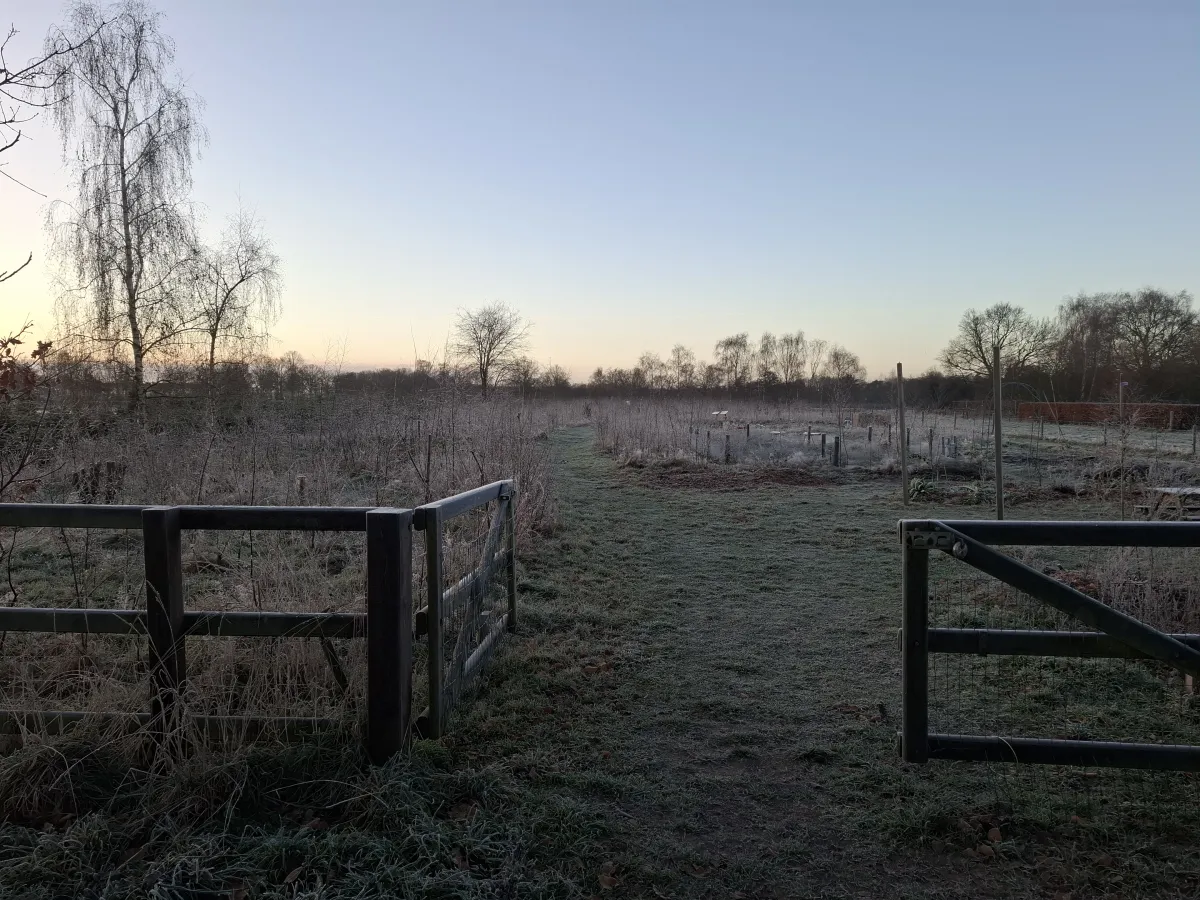 Voedselbos Klein Groenrijk