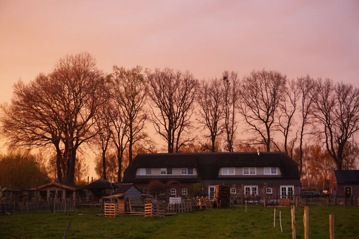 Voedselbos Green Heart Nature Farm