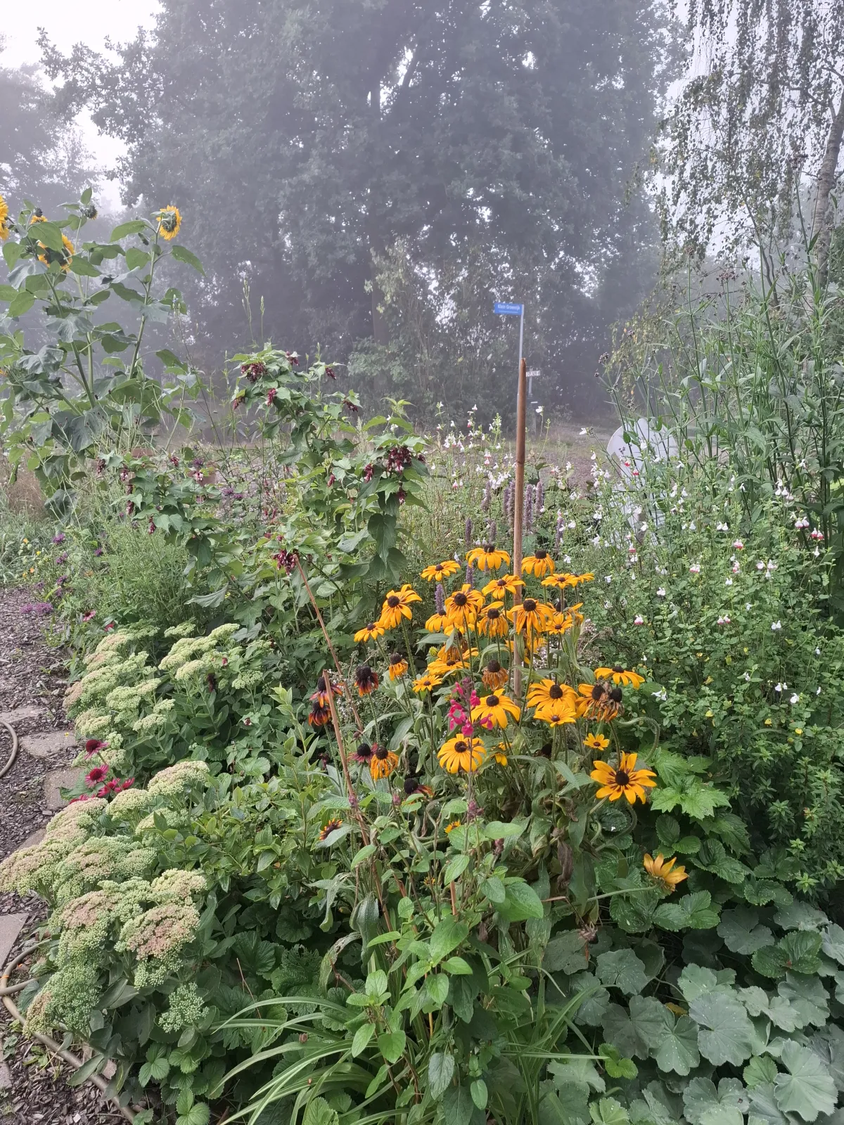 De eetbare siertuin: mooi en eetbaar gecombineerd